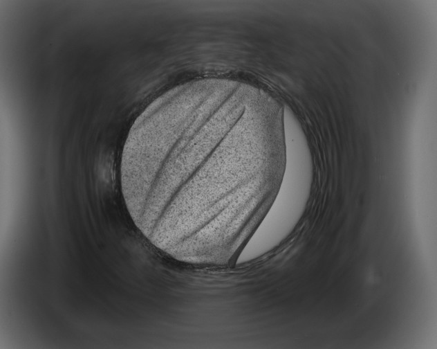 X0000084571252200703231813