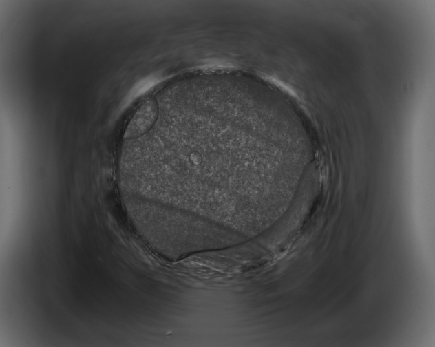 X0000084571255200703231813