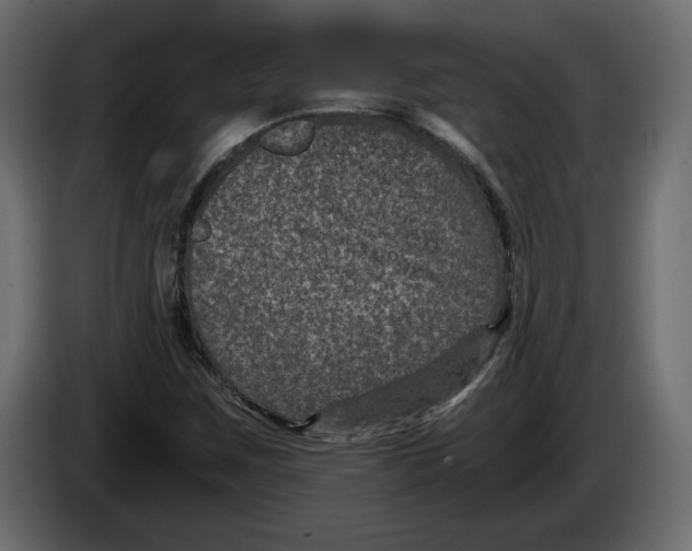 X0000084571259200703231813