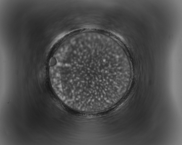 X0000084571263200703231813