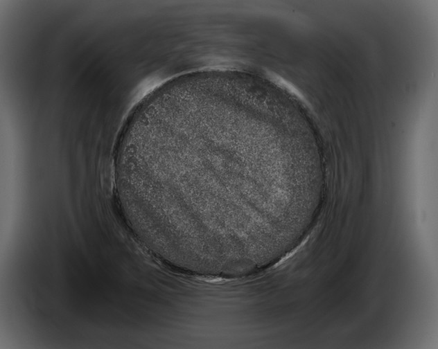 X0000084571267200703231813