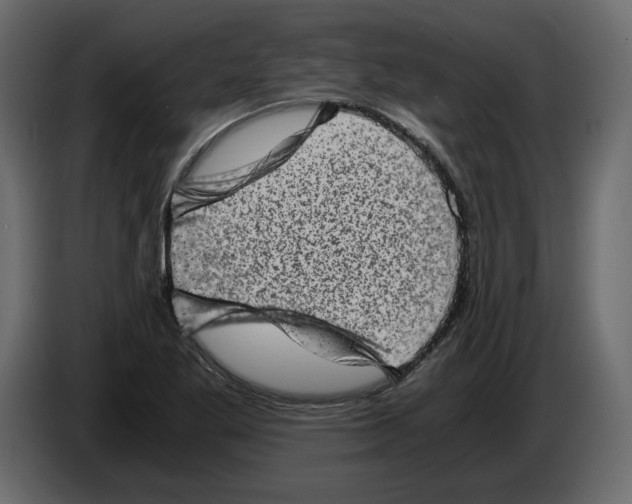X0000084571269200703231813