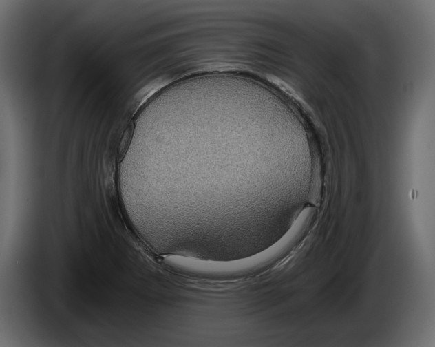 X0000084571273200703231813