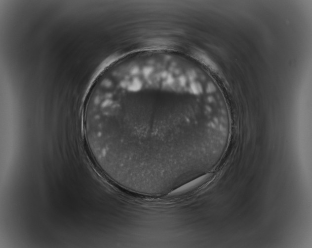 X0000084571275200703231813