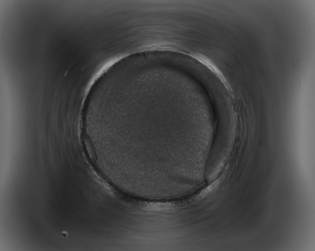 X0000084571277200703231813