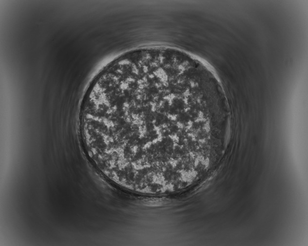 X0000084571279200703231813