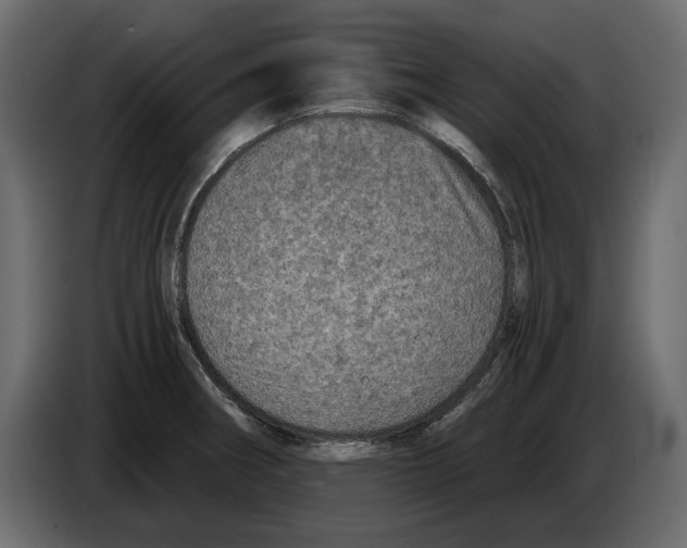 X0000084571282200703231813