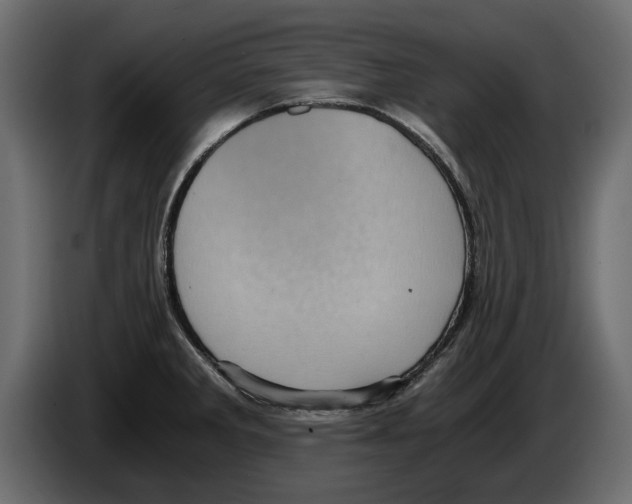 X0000084571285200703231813