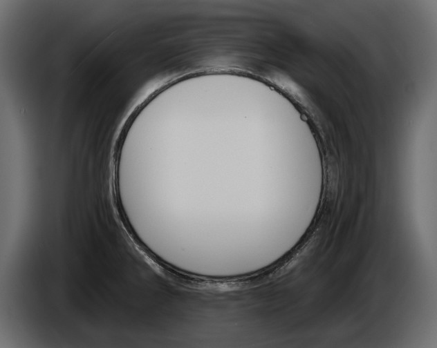 X0000084571286200703231813