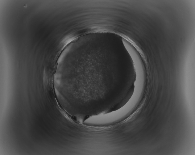 X0000084571289200703231813