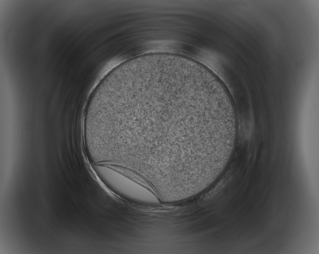 X0000084571290200703231813