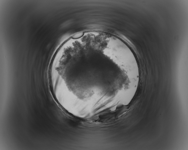 X0000084571291200703231813