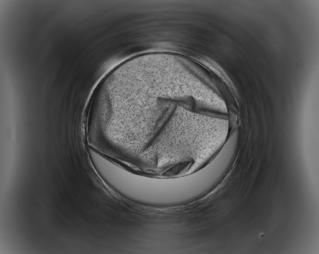 X0000084571292200703231813