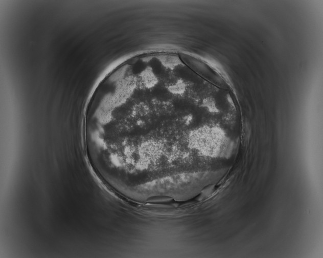 X0000084571295200703231813