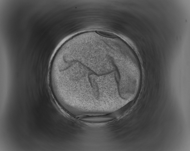 X0000084571296200703231813