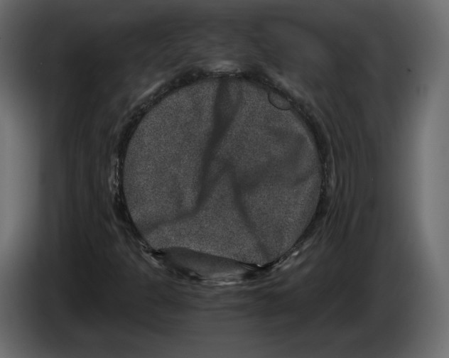 X0000084571301200703231812