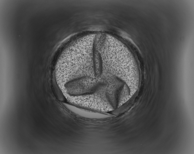 X0000084571304200703231812