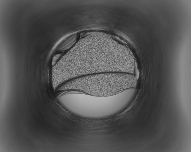 X0000084571310200703231812
