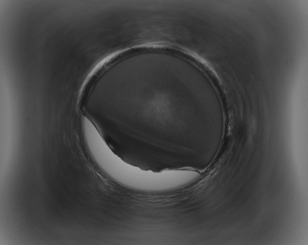 X0000084571319200703231812