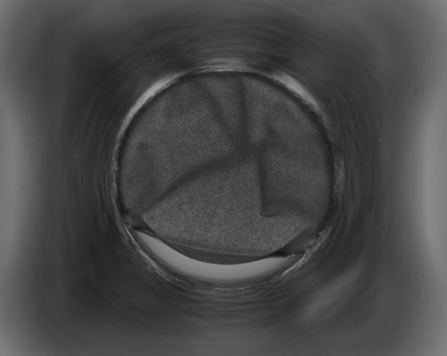 X0000084571325200703231812