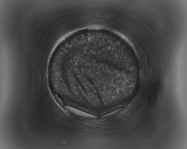 X0000084571327200703231813