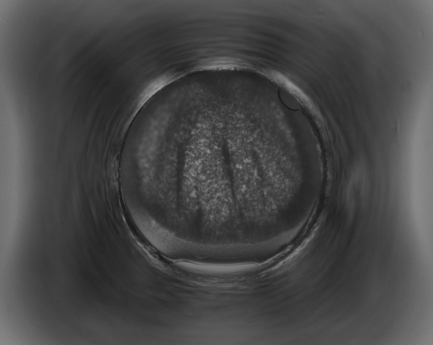 X0000084571329200703231813