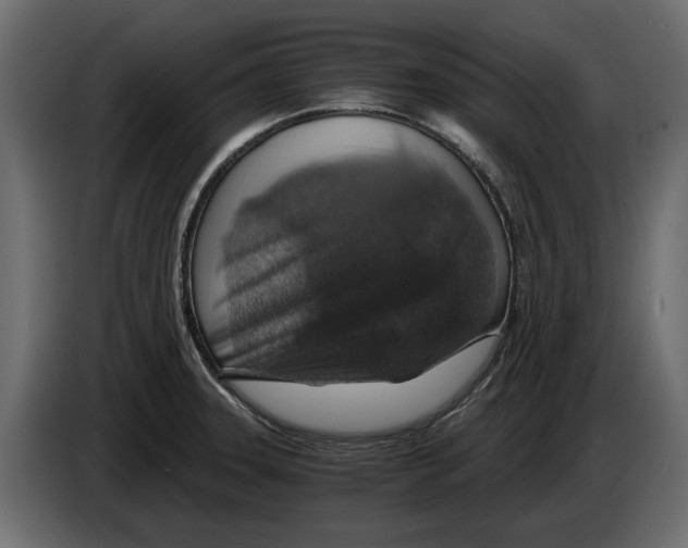 X0000084571331200703231813