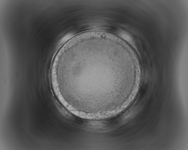 X0000084571338200703231813