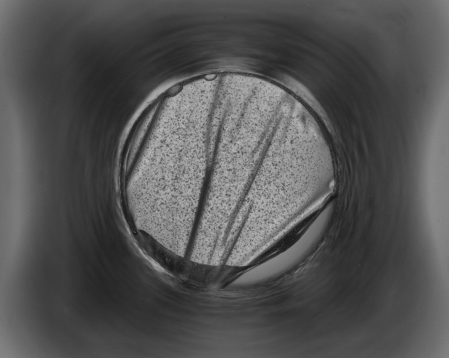 X0000084571339200703231813
