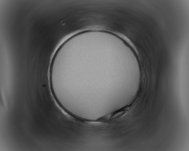 X0000084571343200703231813