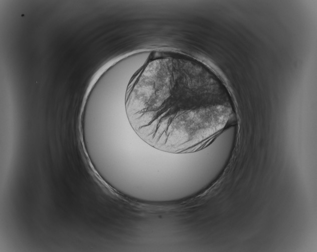 X0000084571344200703231813