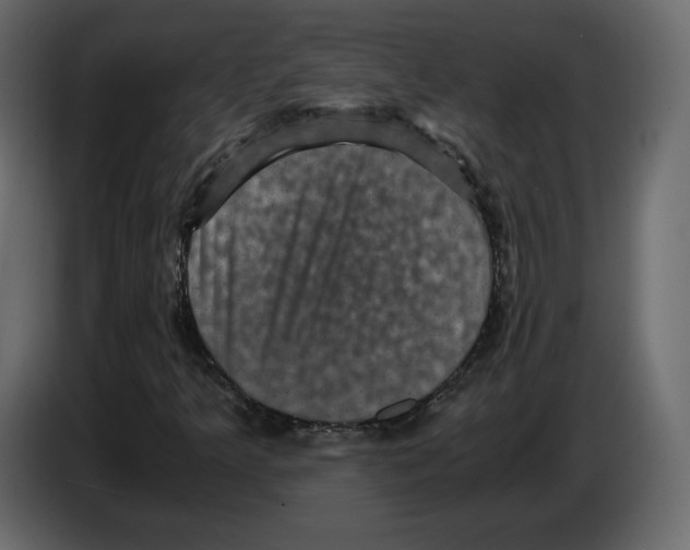 X0000084571349200703231812