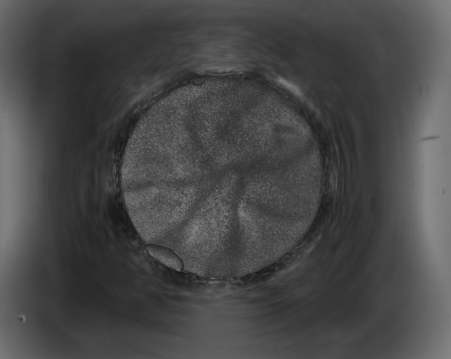 X0000084571350200703231812