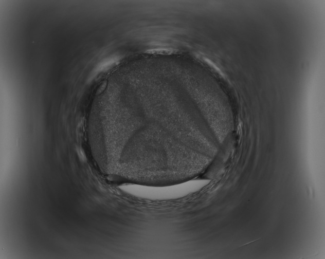 X0000084571351200703231812
