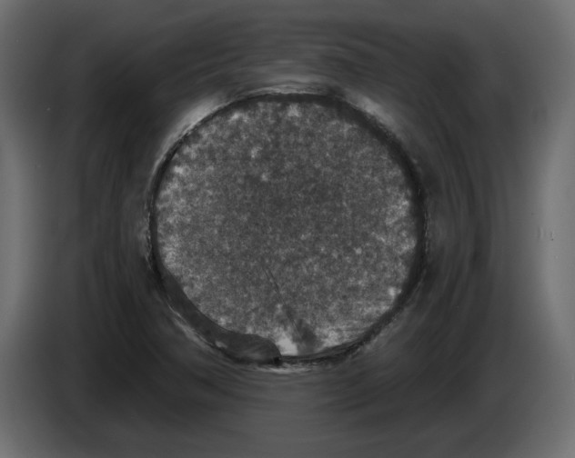 X0000084571362200703231812