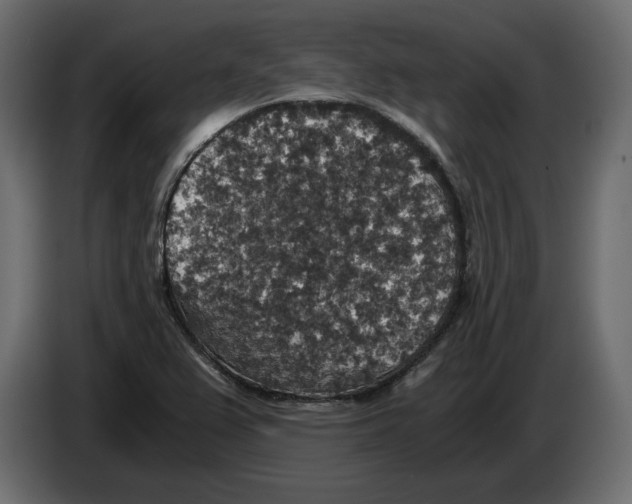 X0000084571367200703231812