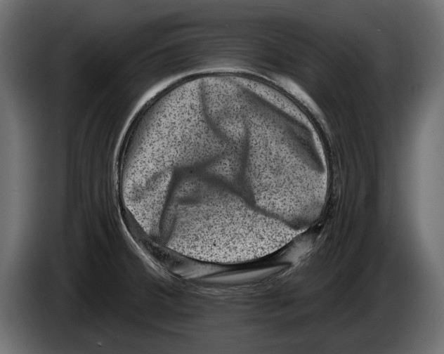 X0000084571380200703231812