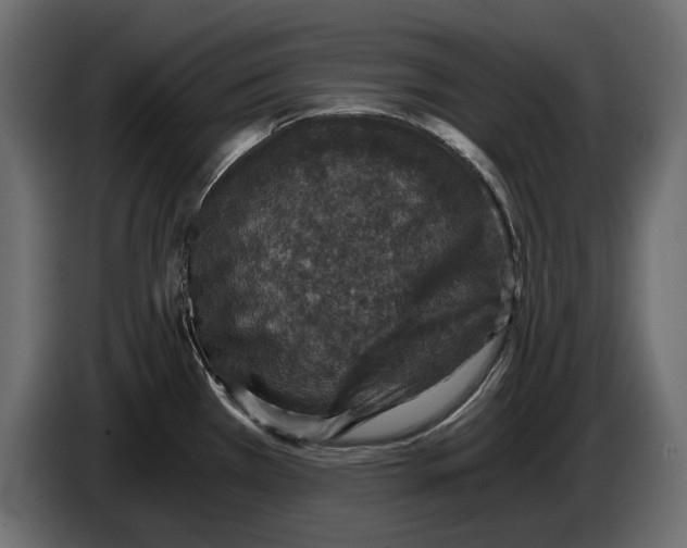 X0000084571385200703231812