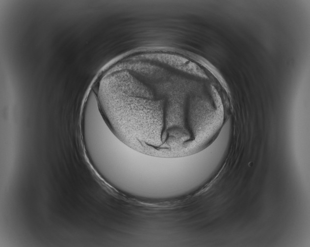 X0000084571388200703231811