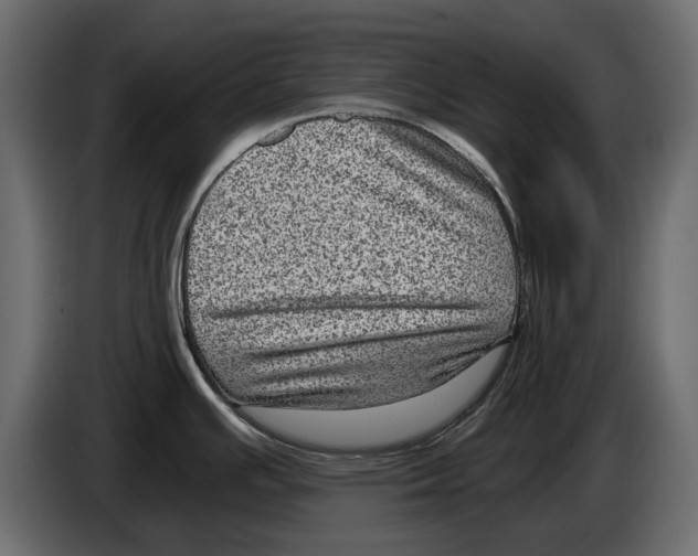 X0000084571391200703231811