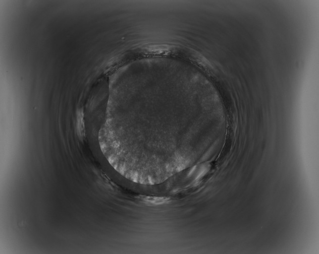 X0000084571394200703231811