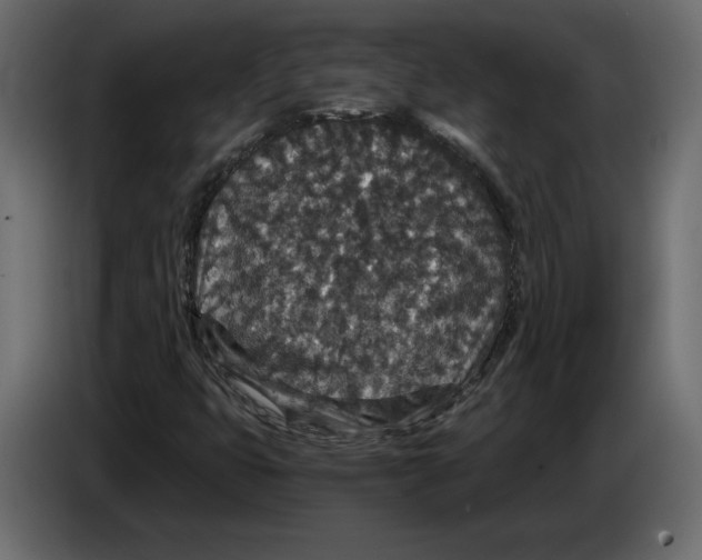 X0000084571399200703231811