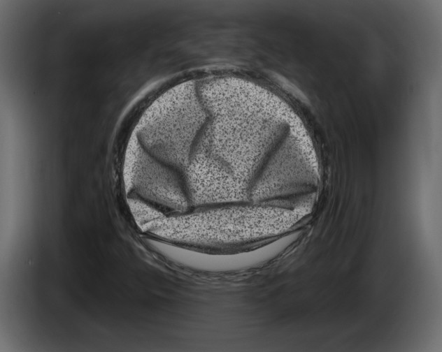 X0000084571400200703231811