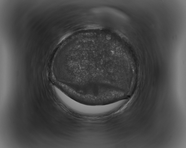 X0000084571401200703231811