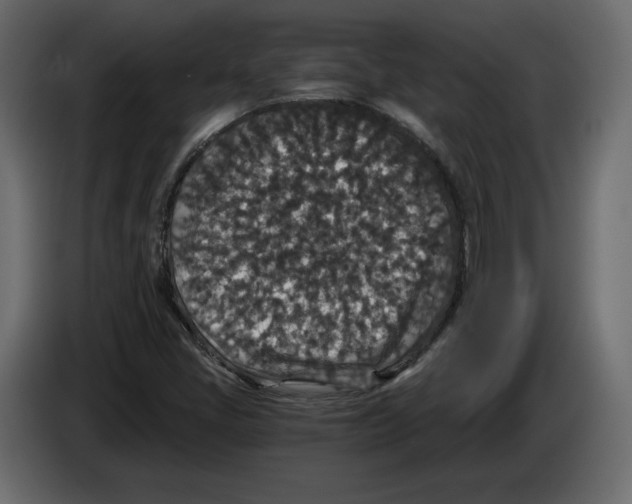 X0000084571405200703231811