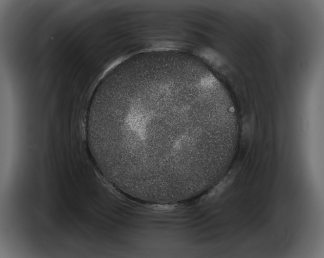 X0000084571409200703231811
