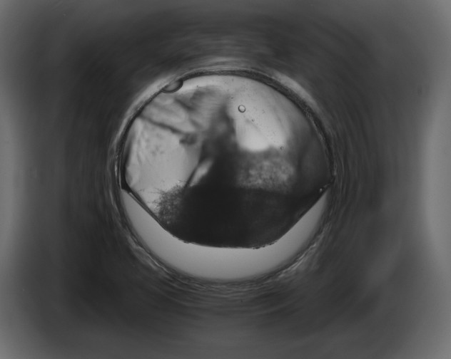 X0000084571413200703231811