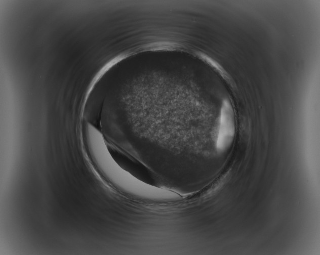 X0000084571418200703231811
