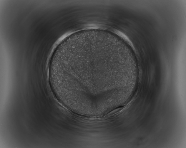 X0000084571419200703231811