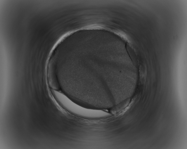 X0000084571422200703231811